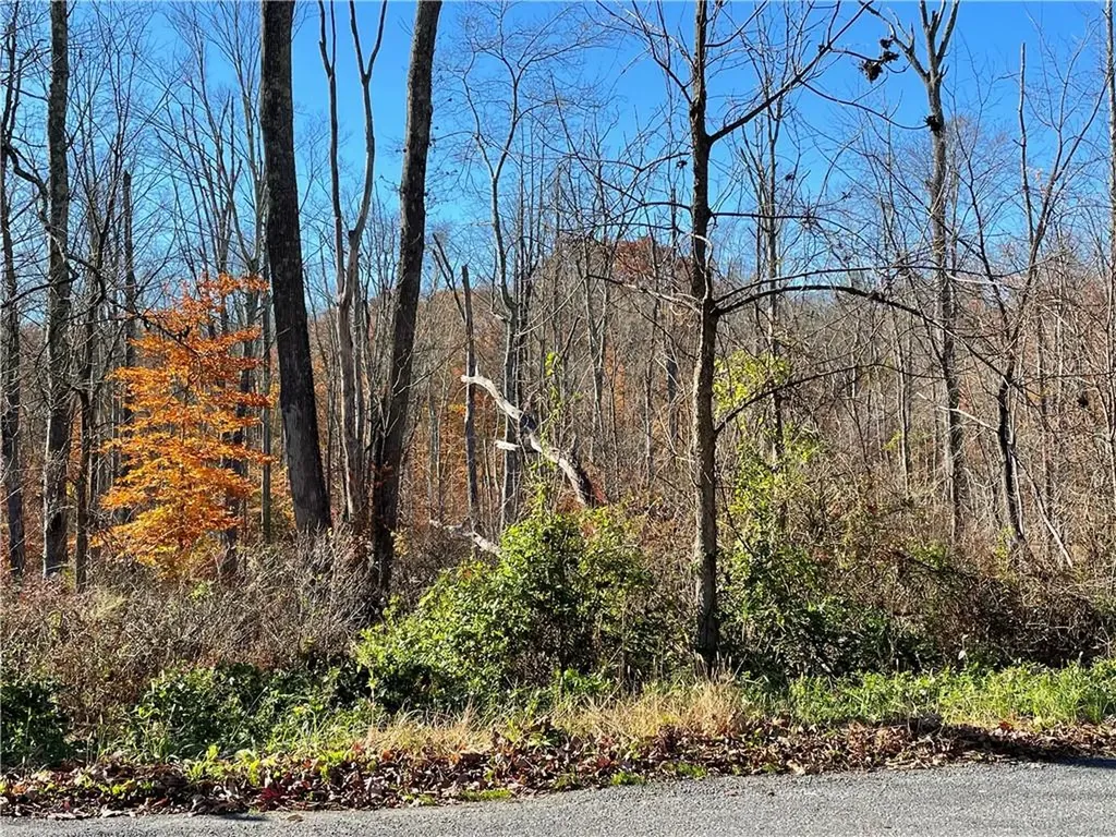 Lake Shore Drive Pine Bush NY 12566