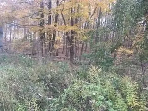2452 Route 52 Hopewell Junction NY 12533
