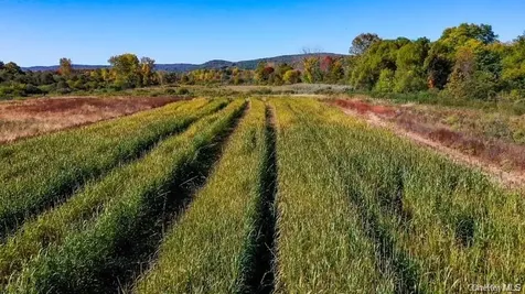 225 Route 22 Pawling NY 12564