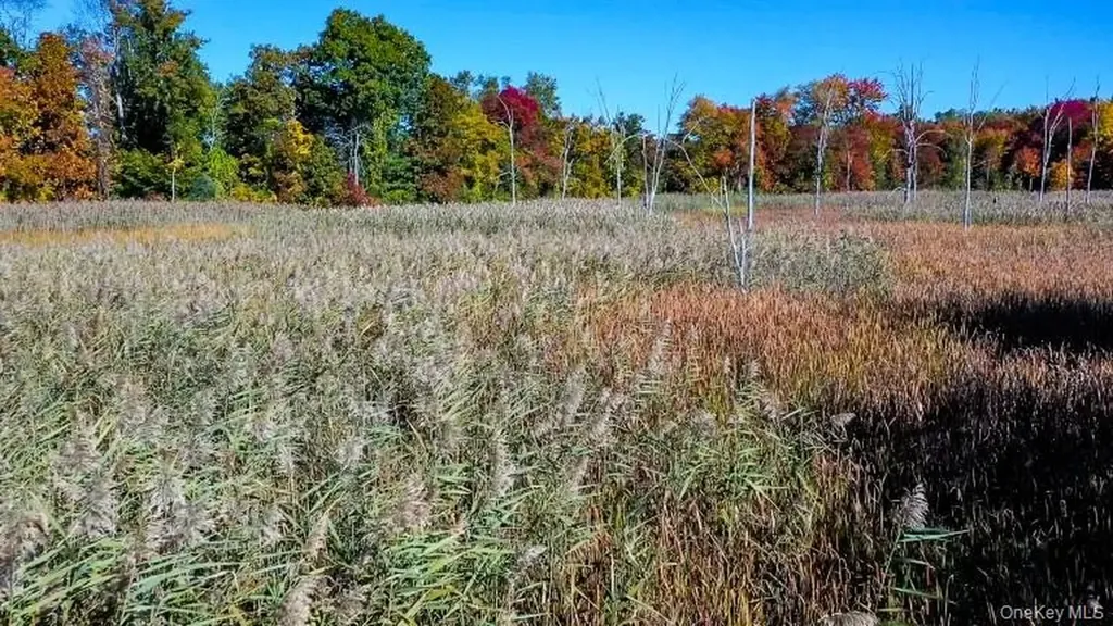 225 Route 22 Pawling NY 12564