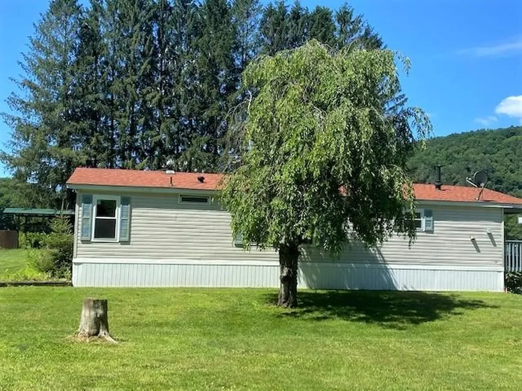 20 Cochecton Road Cochecton NY 12726