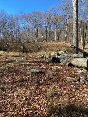 404 Grape Hollow Road Holmes NY 12531