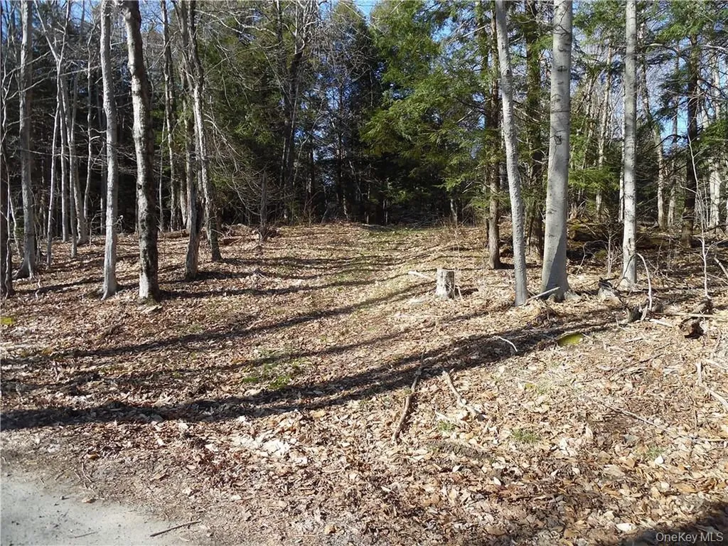 183 Revonah Hill Road Liberty NY 12754