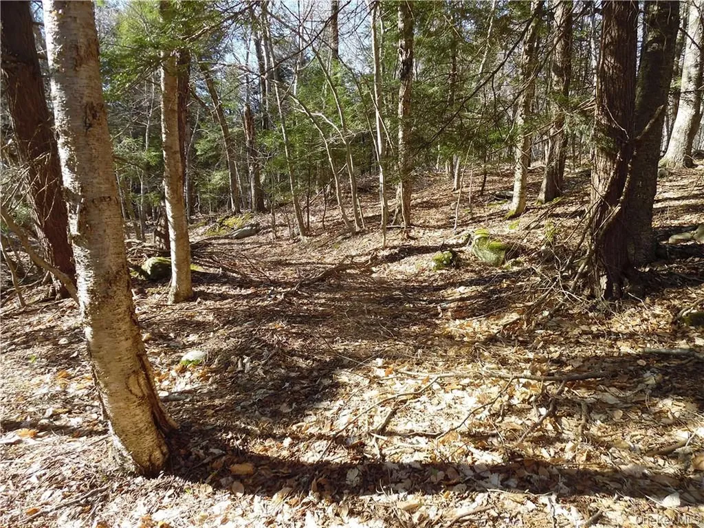183 Revonah Hill Road Liberty NY 12754
