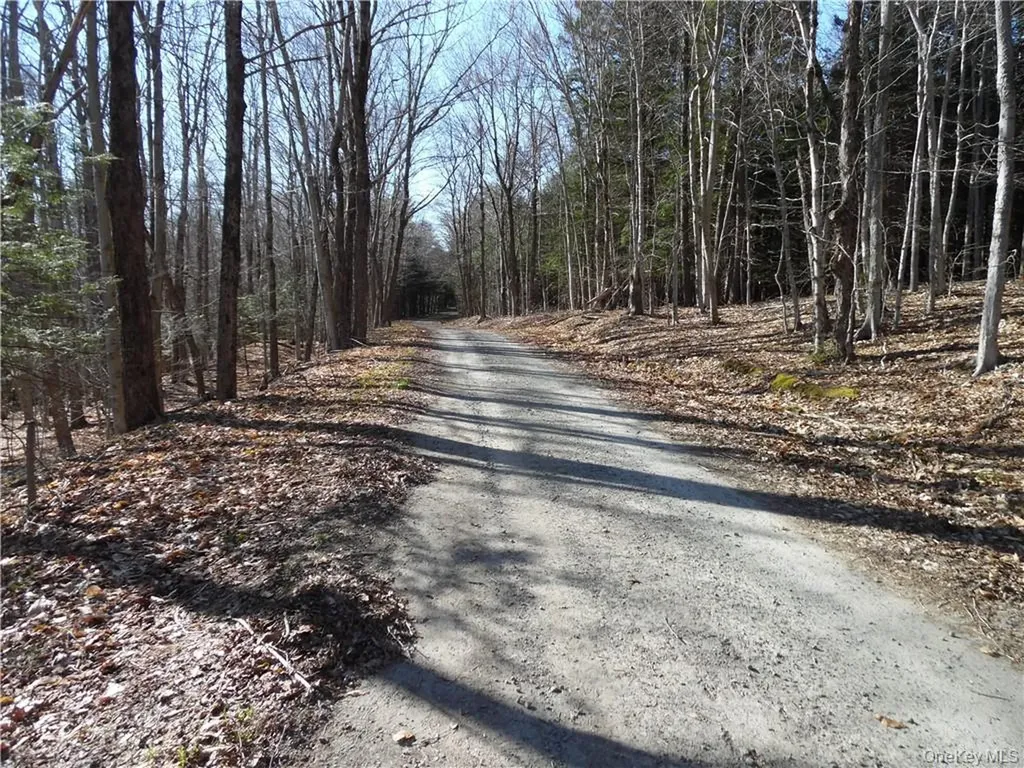 183 Revonah Hill Road Liberty NY 12754