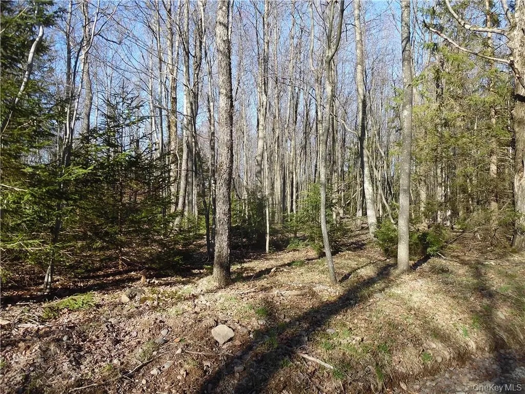 183 Revonah Hill Road Liberty NY 12754