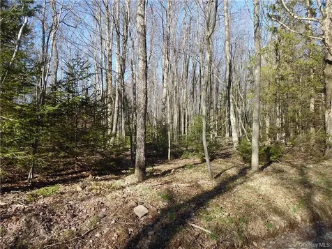 183 Revonah Hill Road Liberty NY 12754