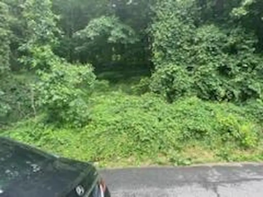 45 Chatham Terrace Yonkers NY 10710