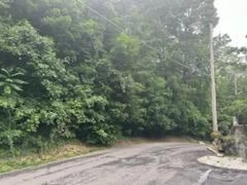 45 Chatham Terrace Yonkers NY 10710