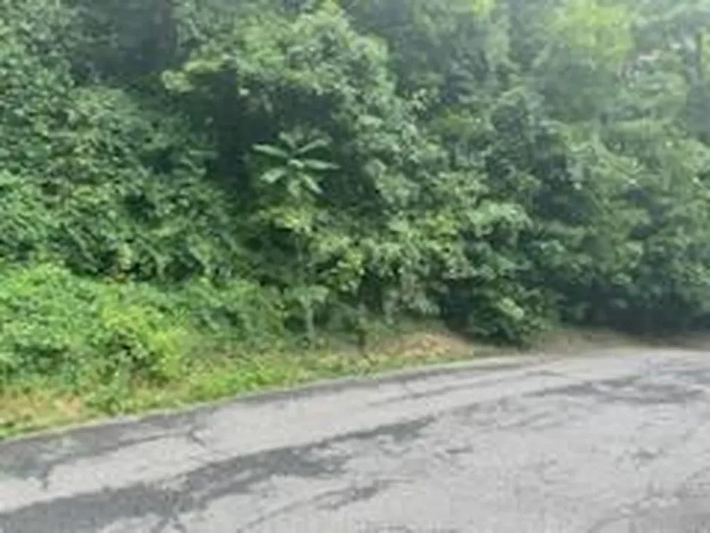 41 Chatham Terrace Yonkers NY 10710