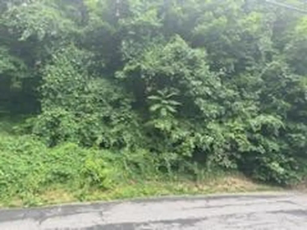 41 Chatham Terrace Yonkers NY 10710