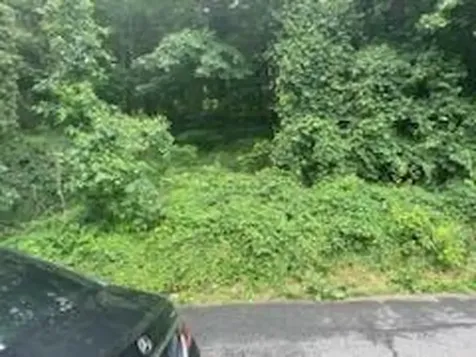 41 Chatham Terrace Yonkers NY 10710
