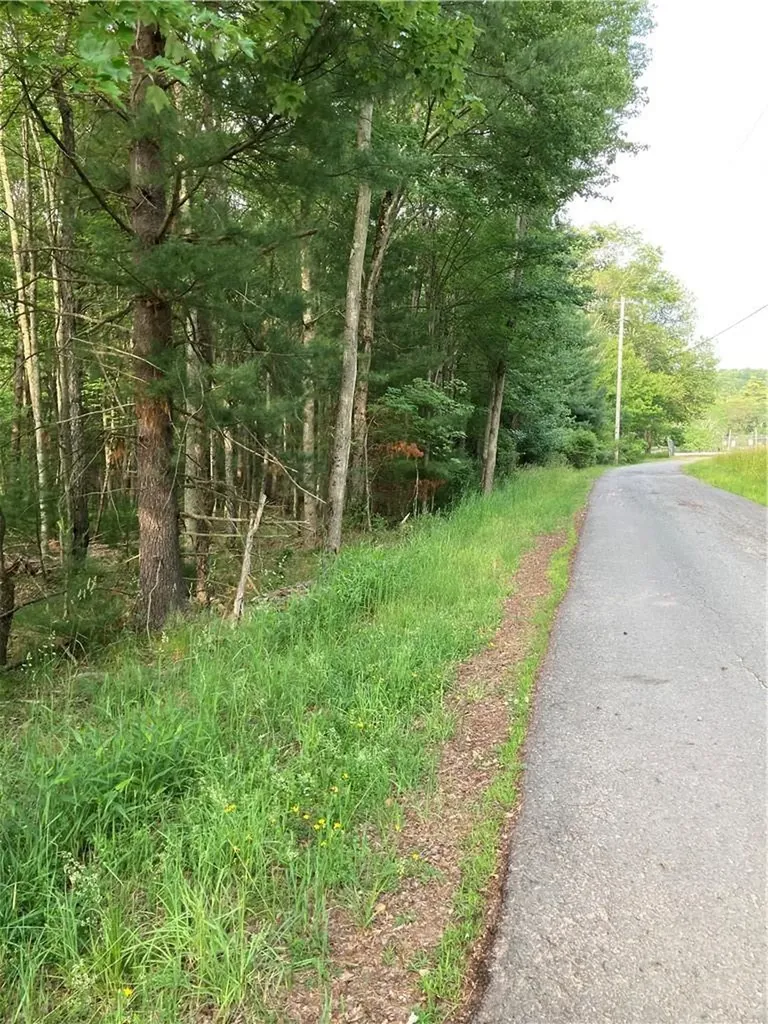 Nys Highway 55 Bethel NY 12720