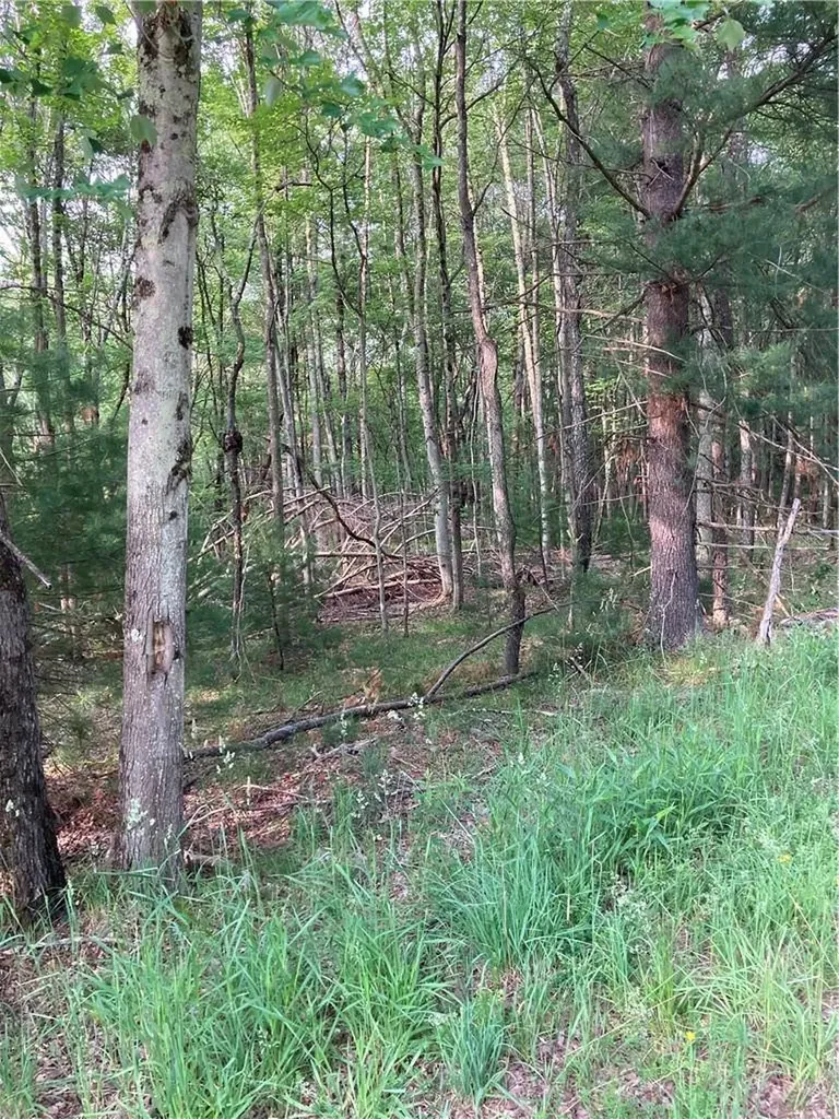 Nys Highway 55 Bethel NY 12720