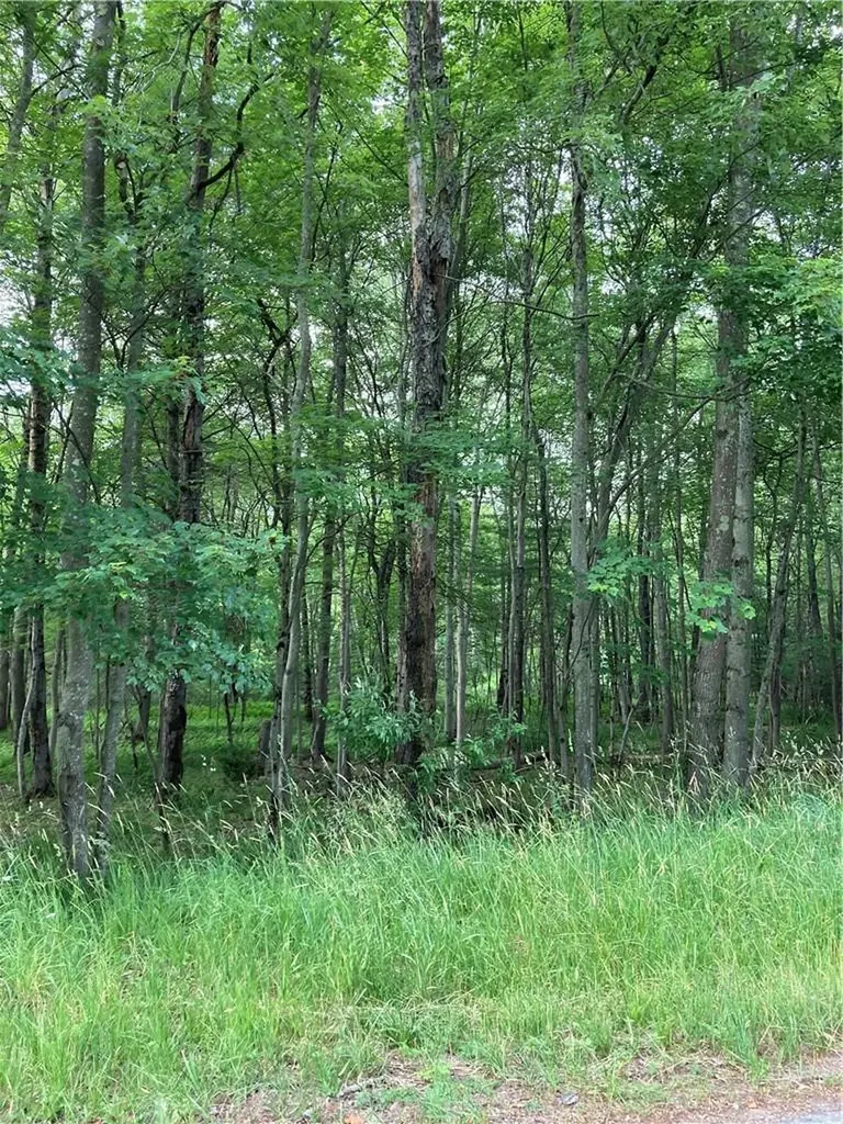 Nys Highway 55 Bethel NY 12720