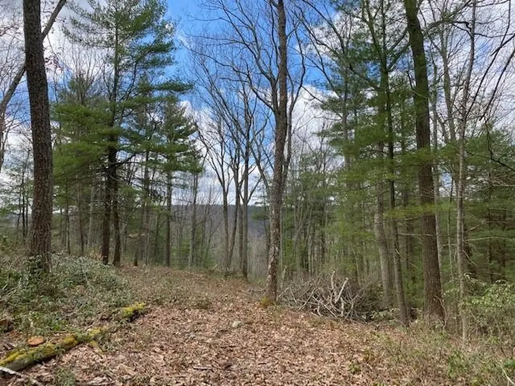 Magnolia Drive Glen Spey NY 12737
