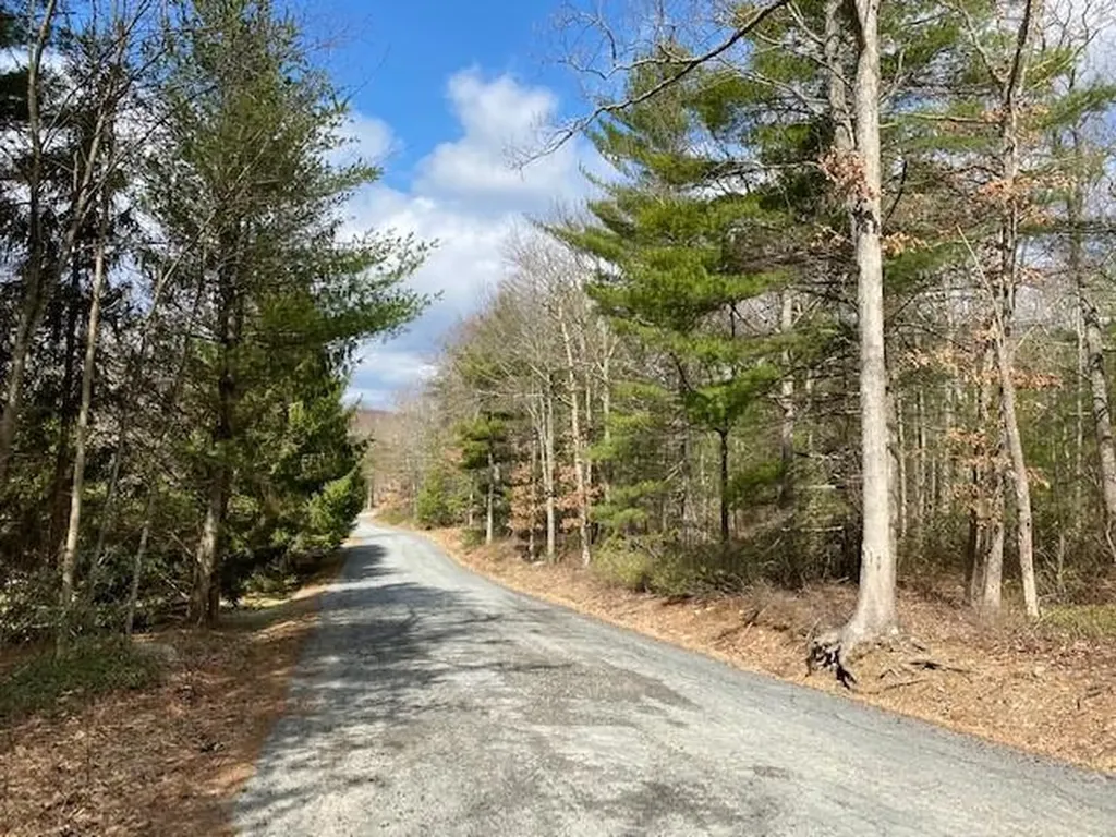 Magnolia Drive Glen Spey NY 12737