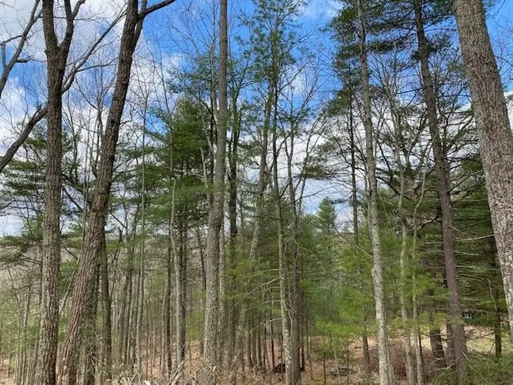 Magnolia Drive Glen Spey NY 12737