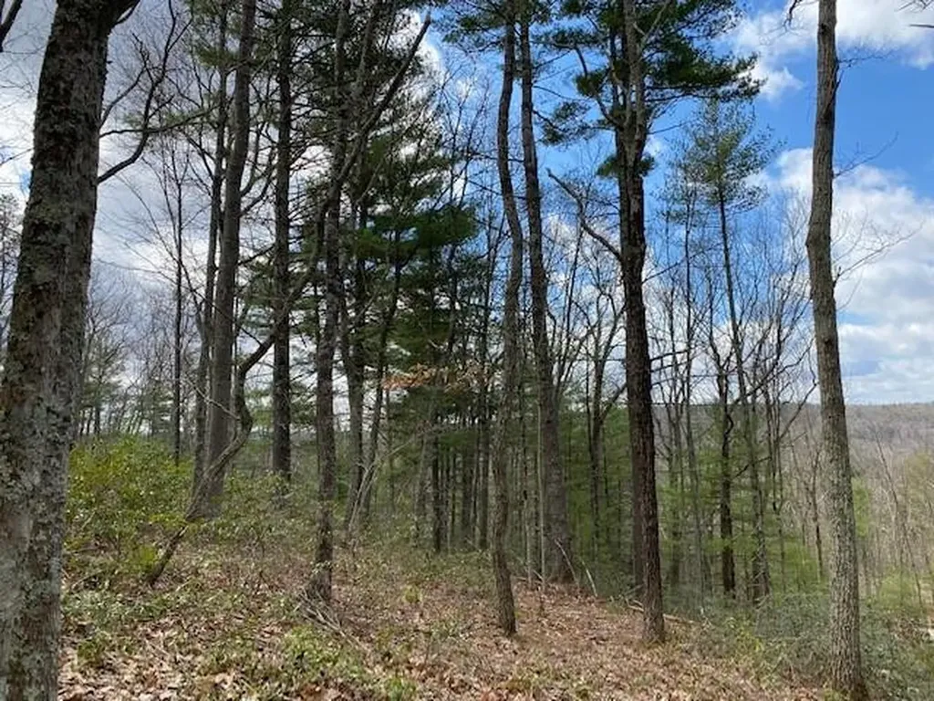 Magnolia Drive Glen Spey NY 12737