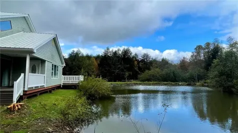 141 Bonnie Brook Road Roscoe NY 12776
