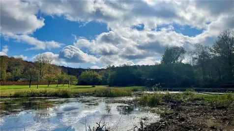 141 Bonnie Brook Road Roscoe NY 12776