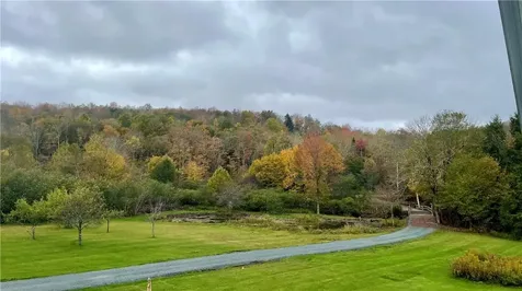 141 Bonnie Brook Road Roscoe NY 12776