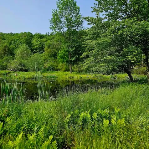 141 Bonnie Brook Road Roscoe NY 12776