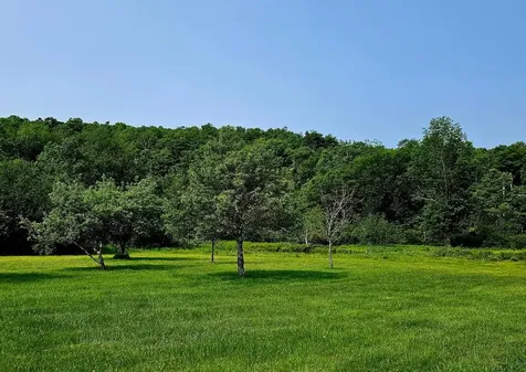 141 Bonnie Brook Road Roscoe NY 12776
