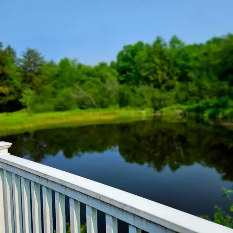 141 Bonnie Brook Road Roscoe NY 12776
