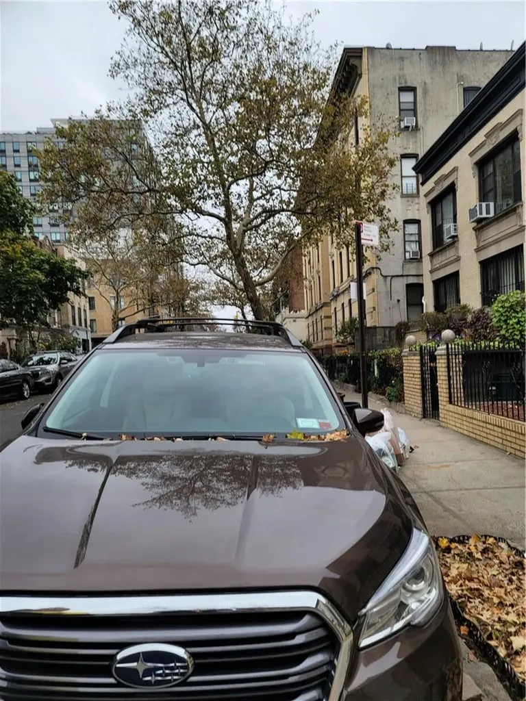 1209 Union Street Brooklyn NY 11225