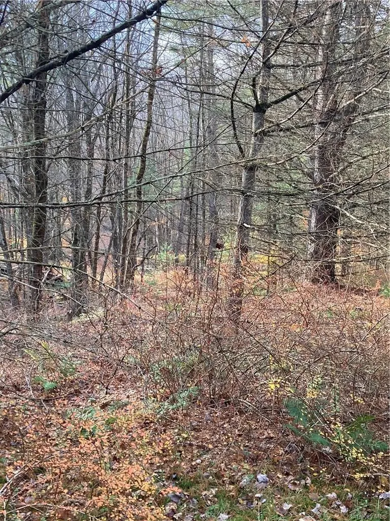 140 Plank Road Mongaup Valley NY 12762