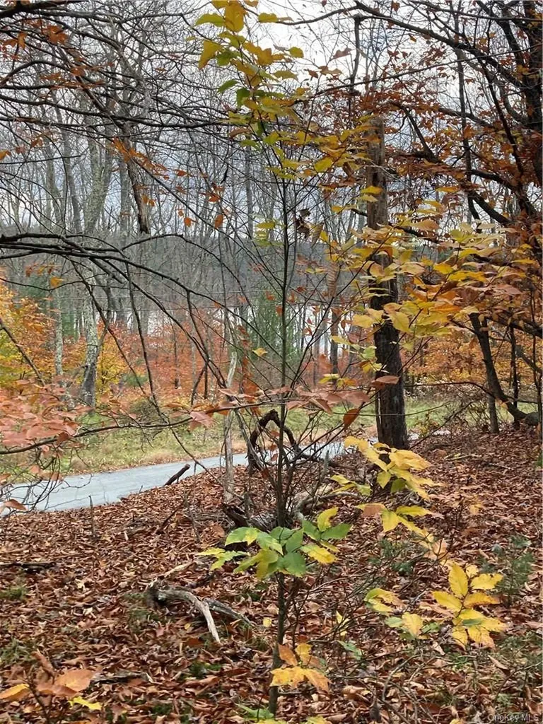 140 Plank Road Mongaup Valley NY 12762