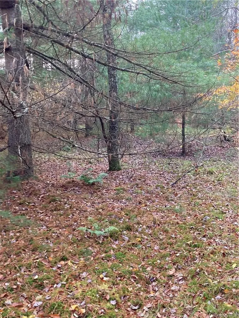140 Plank Road Mongaup Valley NY 12762
