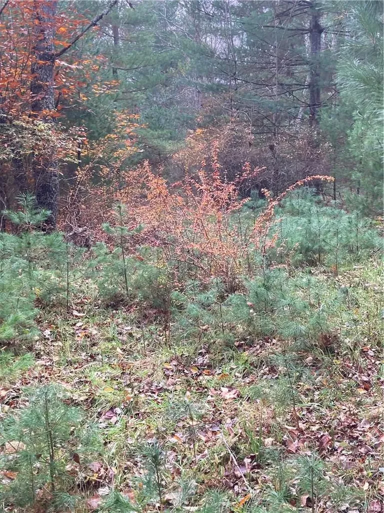140 Plank Road Mongaup Valley NY 12762