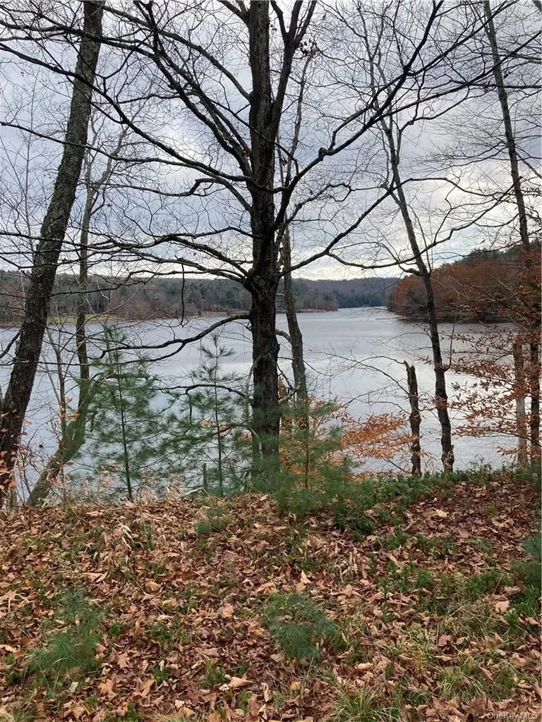 140 Plank Road Mongaup Valley NY 12762