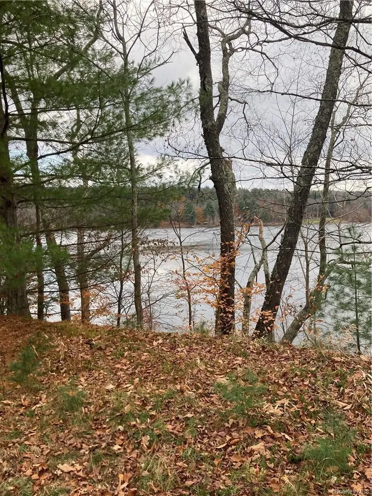 140 Plank Road Mongaup Valley NY 12762