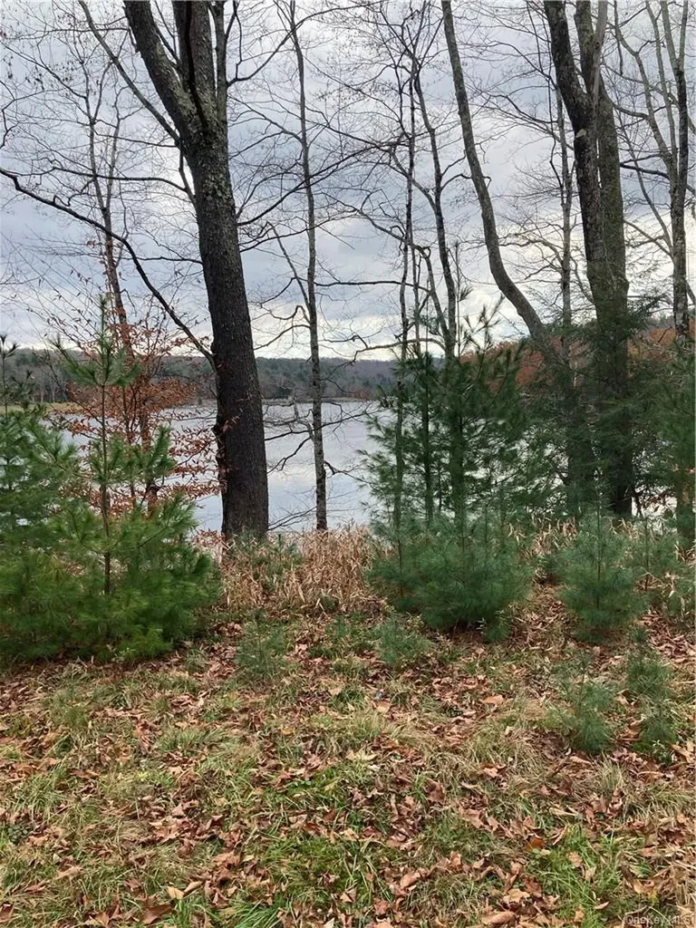 140 Plank Road Mongaup Valley NY 12762
