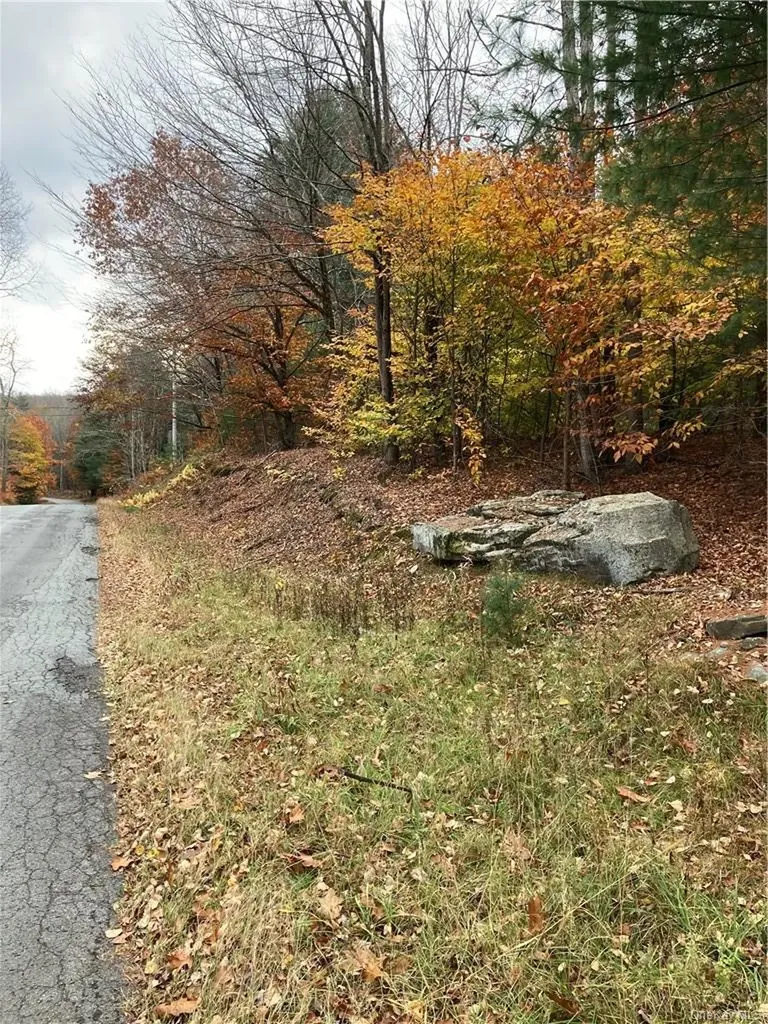 140 Plank Road Mongaup Valley NY 12762