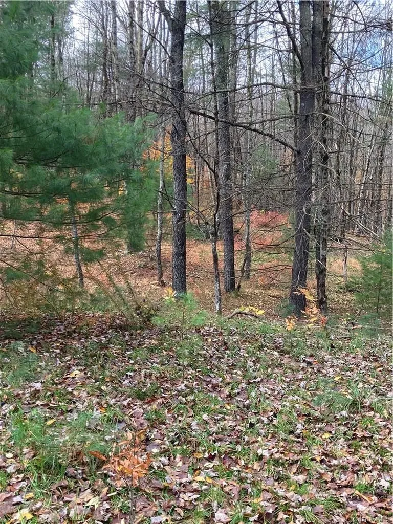 140 Plank Road Mongaup Valley NY 12762