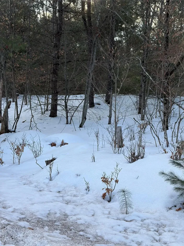 140 Plank Road Mongaup Valley NY 12762