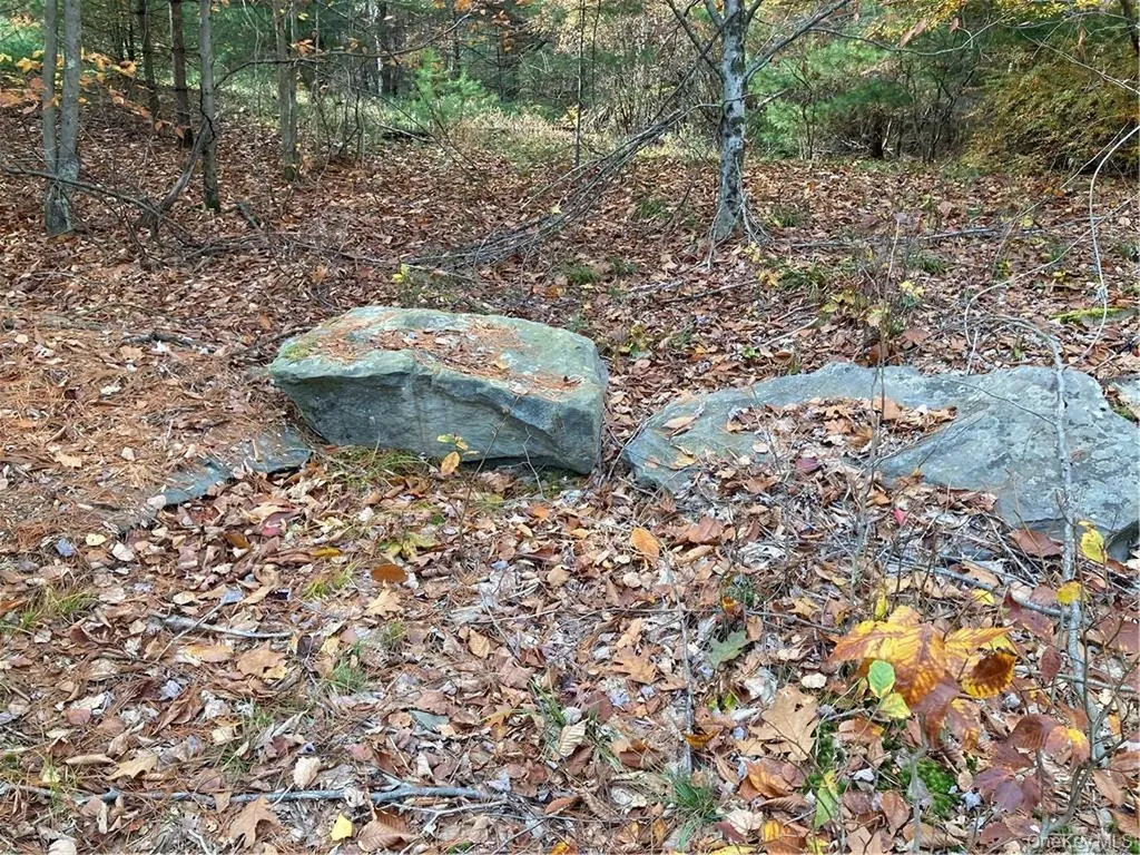 140 Plank Road Mongaup Valley NY 12762