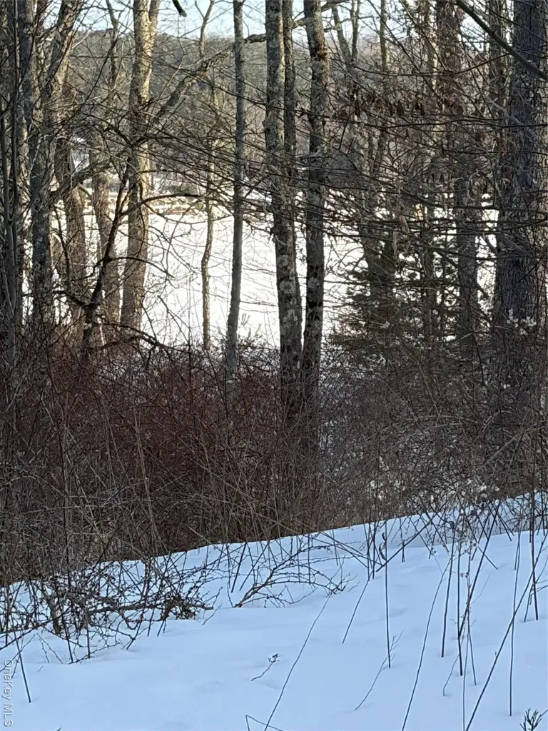 140 Plank Road Mongaup Valley NY 12762