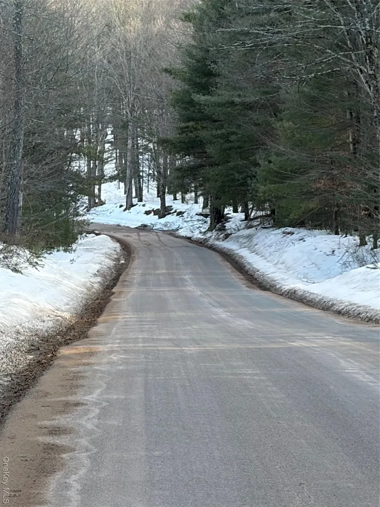 140 Plank Road Mongaup Valley NY 12762