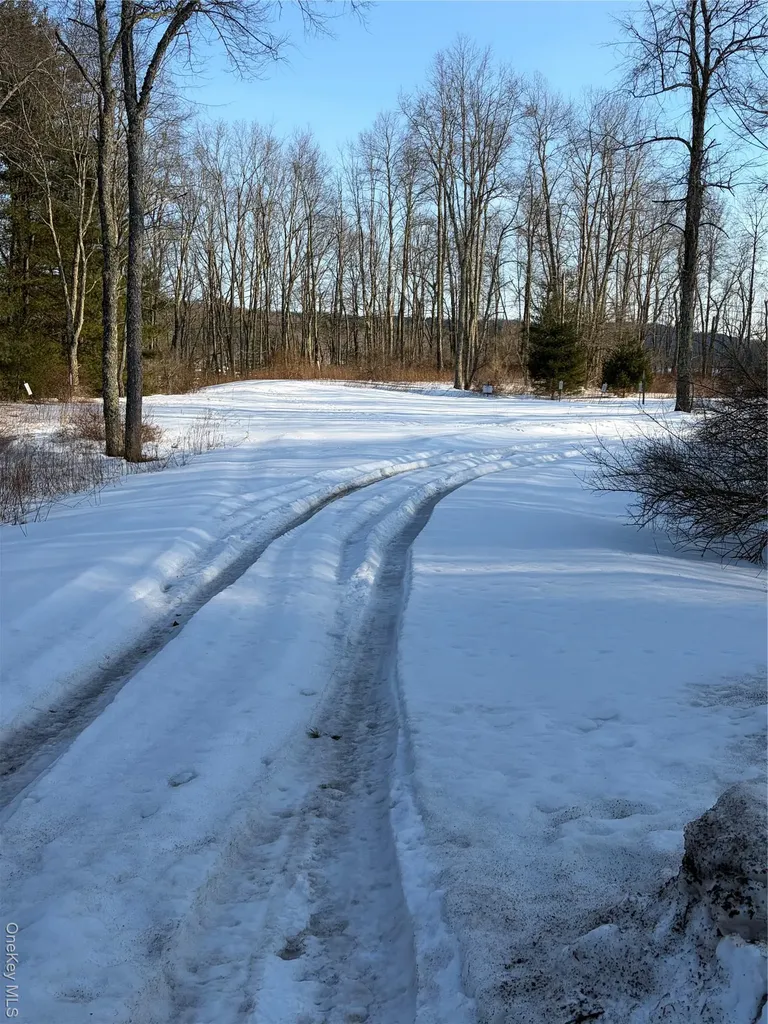 140 Plank Road Mongaup Valley NY 12762