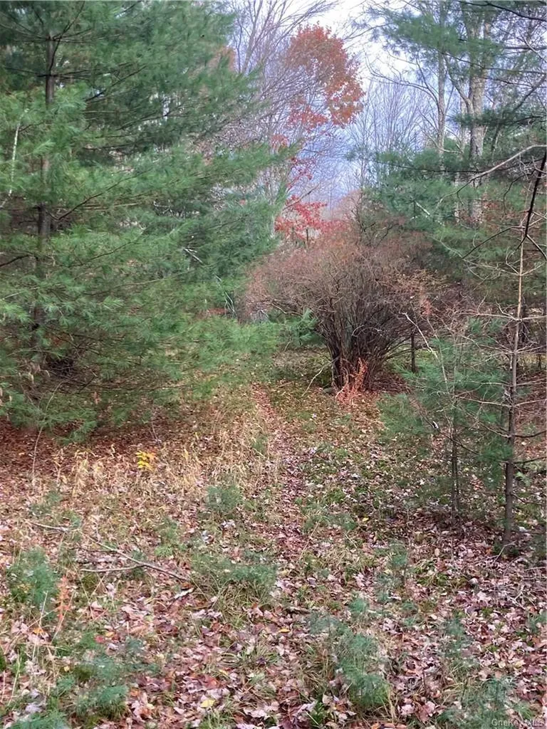 140 Plank Road Mongaup Valley NY 12762