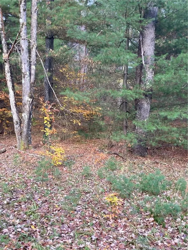 140 Plank Road Mongaup Valley NY 12762