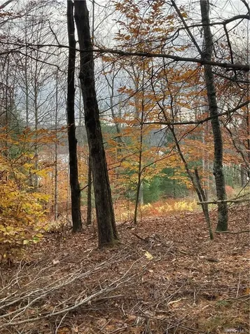 140 Plank Road Mongaup Valley NY 12762