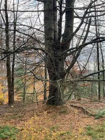 140 Plank Road Mongaup Valley NY 12762