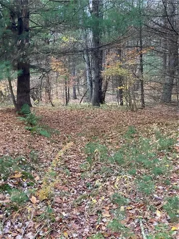 140 Plank Road Mongaup Valley NY 12762