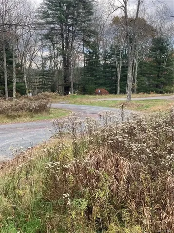 140 Plank Road Mongaup Valley NY 12762